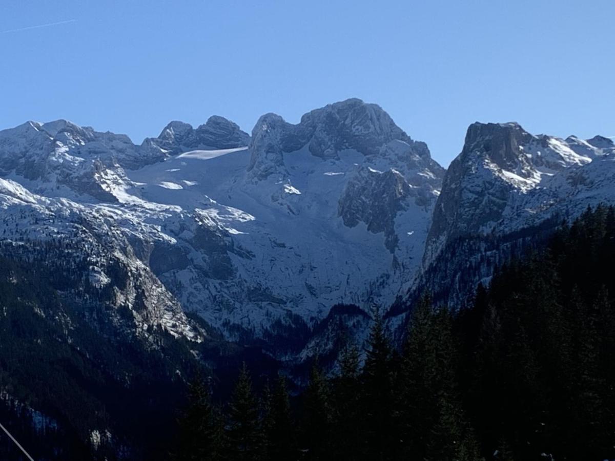 Dachstein Mountainview Gosau Apartment Exterior photo