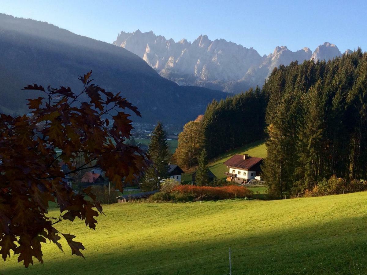 Dachstein Mountainview Gosau Apartment Exterior photo