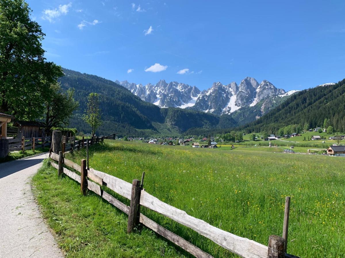 Dachstein Mountainview Gosau Apartment Exterior photo